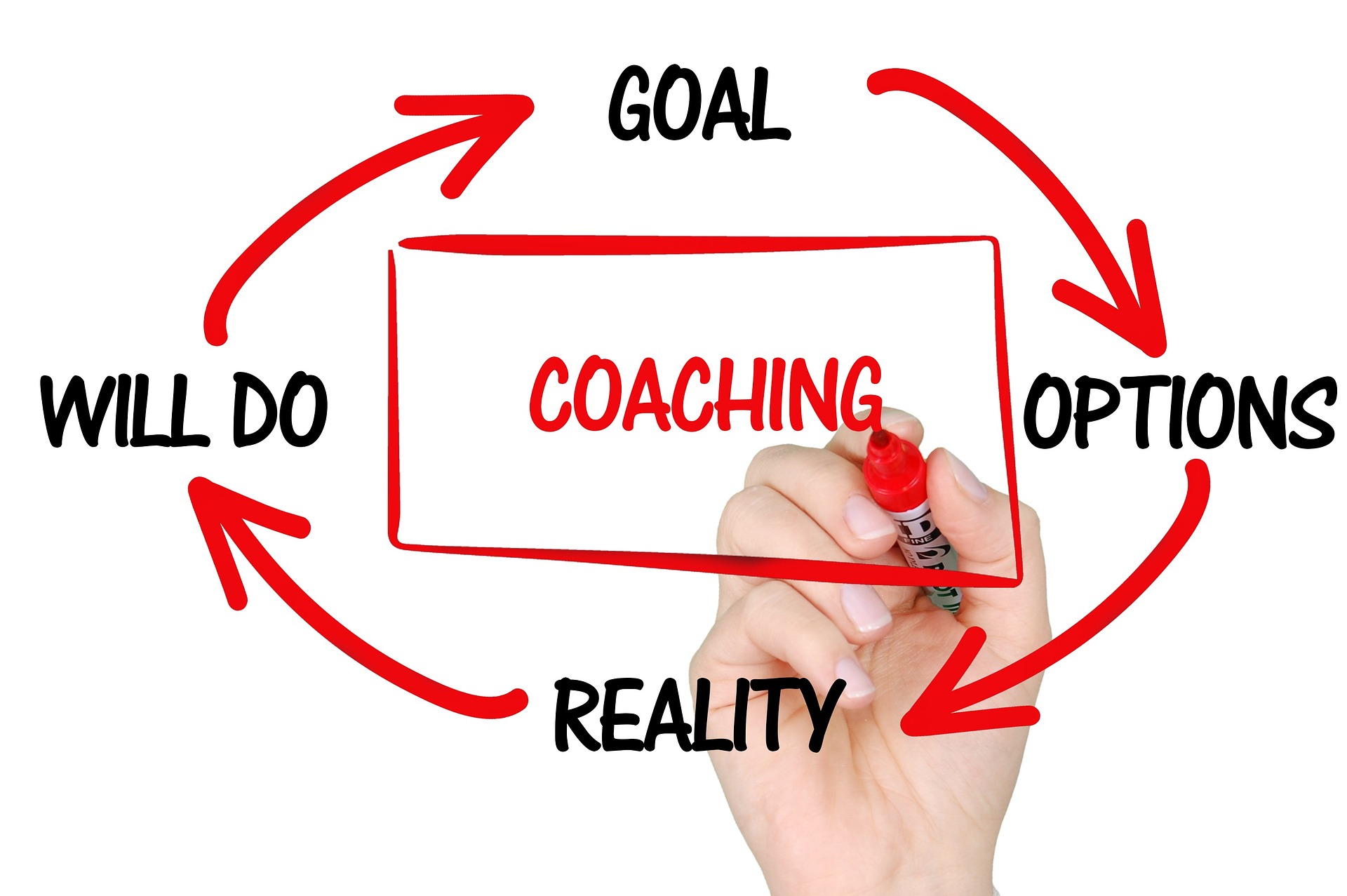 coaching-entrerprise